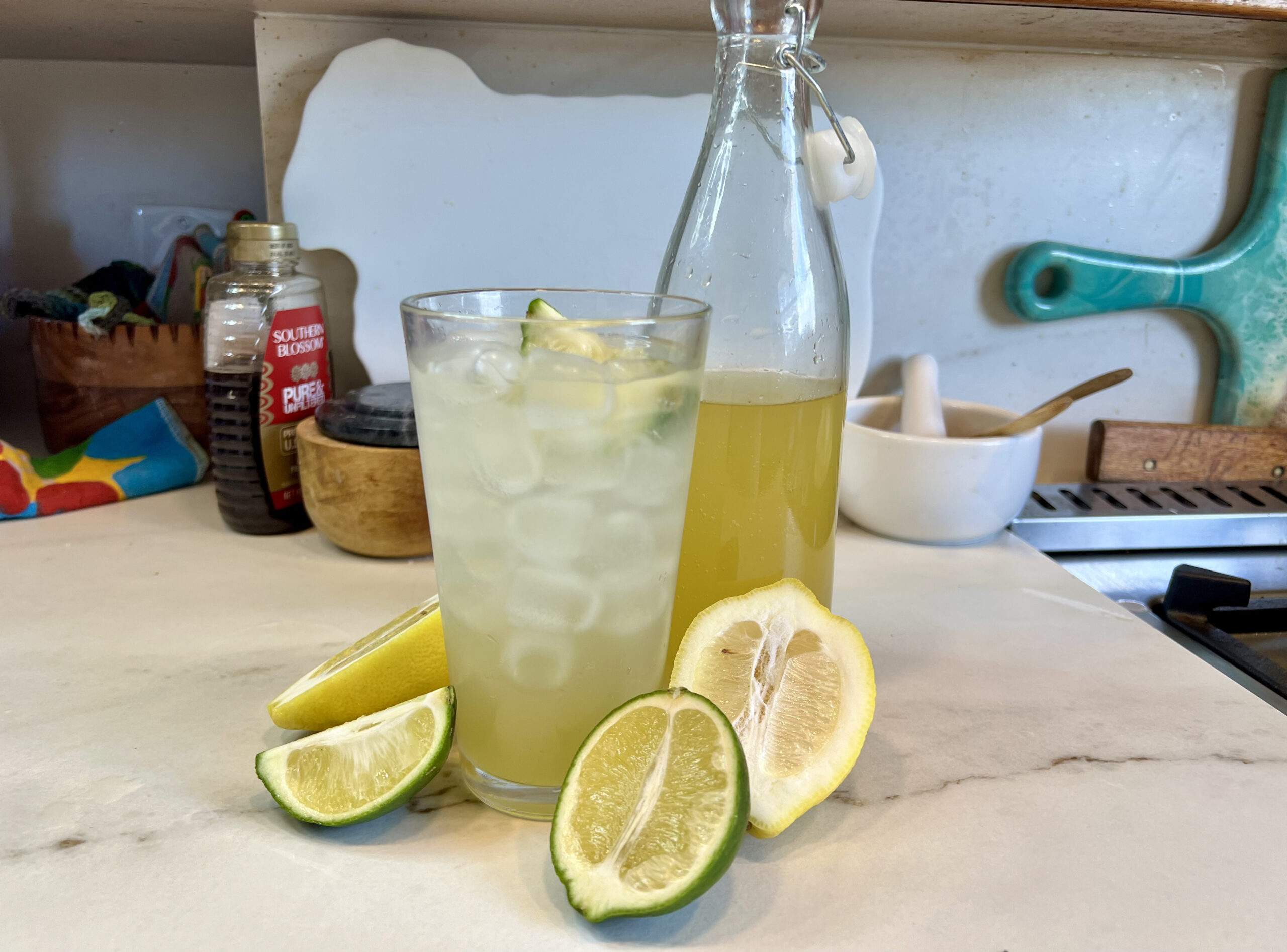 Homemade Lemon-Lime soda - Gari's Galley